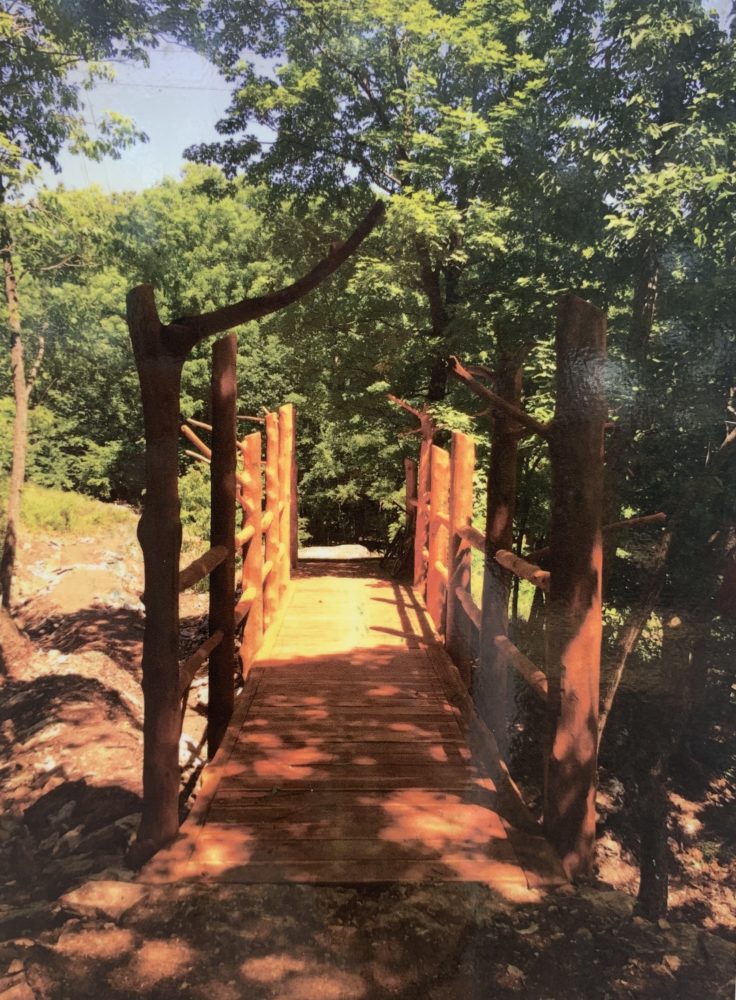 Eureka Springs Mountain Bike Trail Bridge