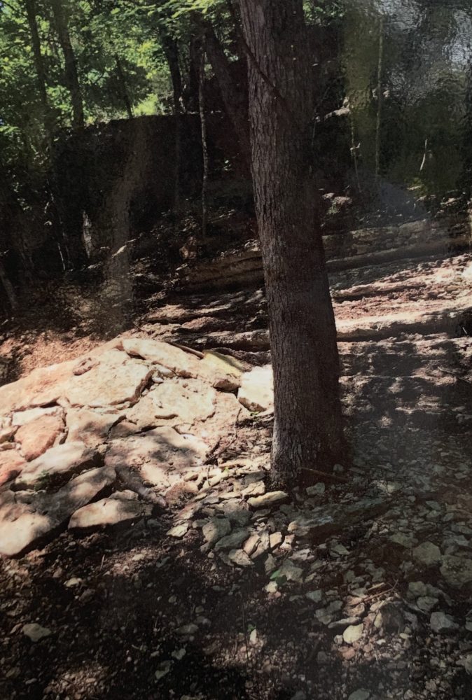 Eureka Springs Mountain Biking Trail