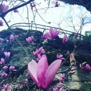 eureka springs things to do in spring