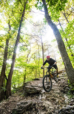 eureka springs trails