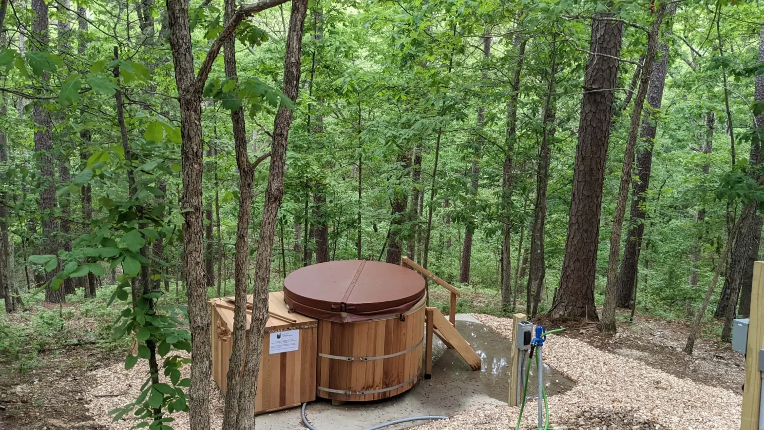 Forest Bath at Loblolly Pines