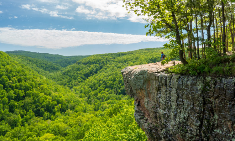 Whitaker Point Hiking view