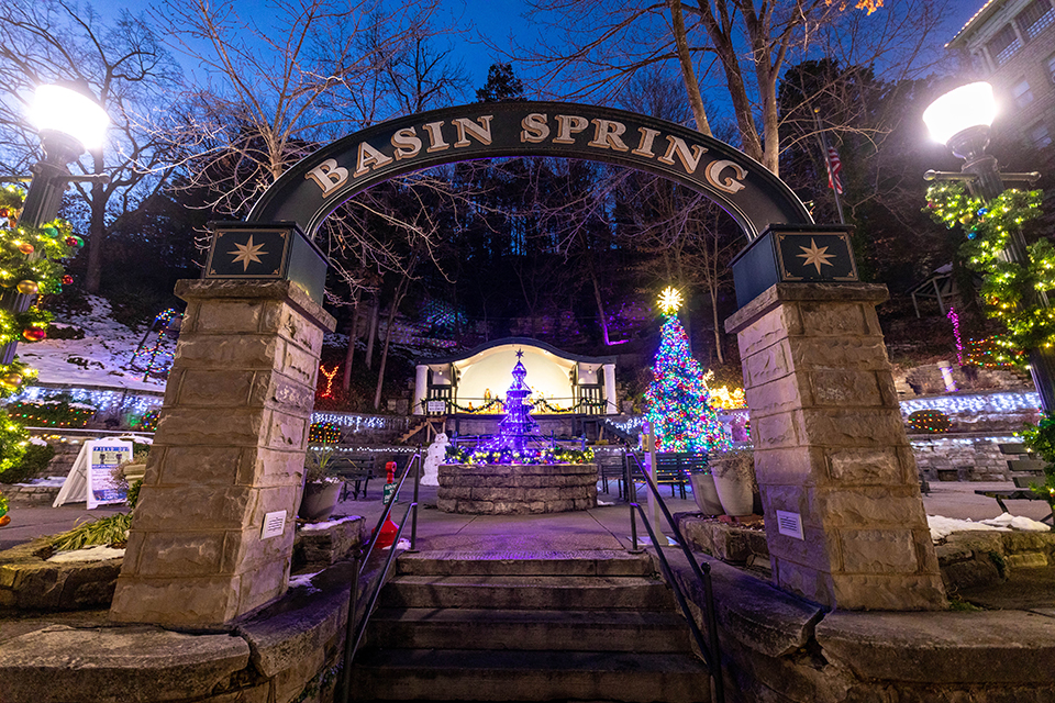 Basin Park Christmas Treet